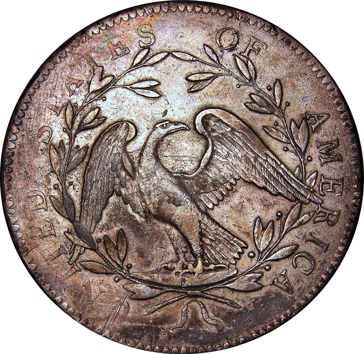 The Flowing Hair Silver Dollar - An American Beauty - Coin Parade