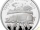 2019 Lunar Year of the Pig Silver Proof 1oz Reverse