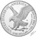 2023-W American Eagle 1oz Silver Proof Reverse